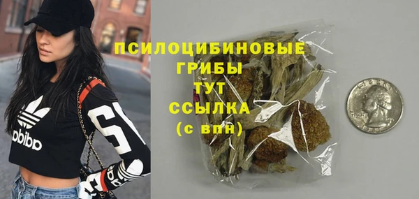 гашик Магас