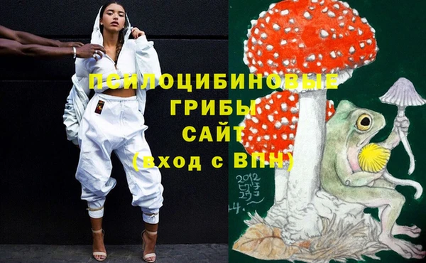 гашик Магас