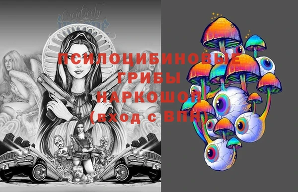 гашик Магас