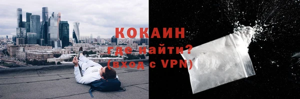 гашик Магас