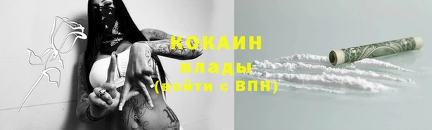 гашик Магас