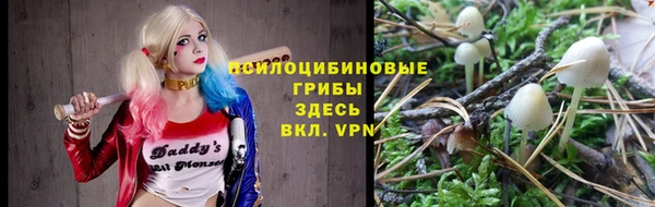 гашик Магас