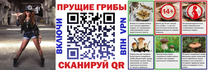 купить сайты Яранск MEGA ONION Галлюциногенные грибы Magic Shrooms